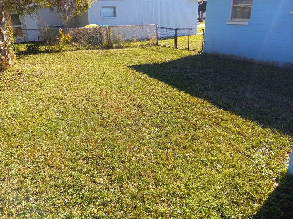 Affordable landscape installation for beautiful yards in Titusville, FL by Lewis & Son Lawn Care