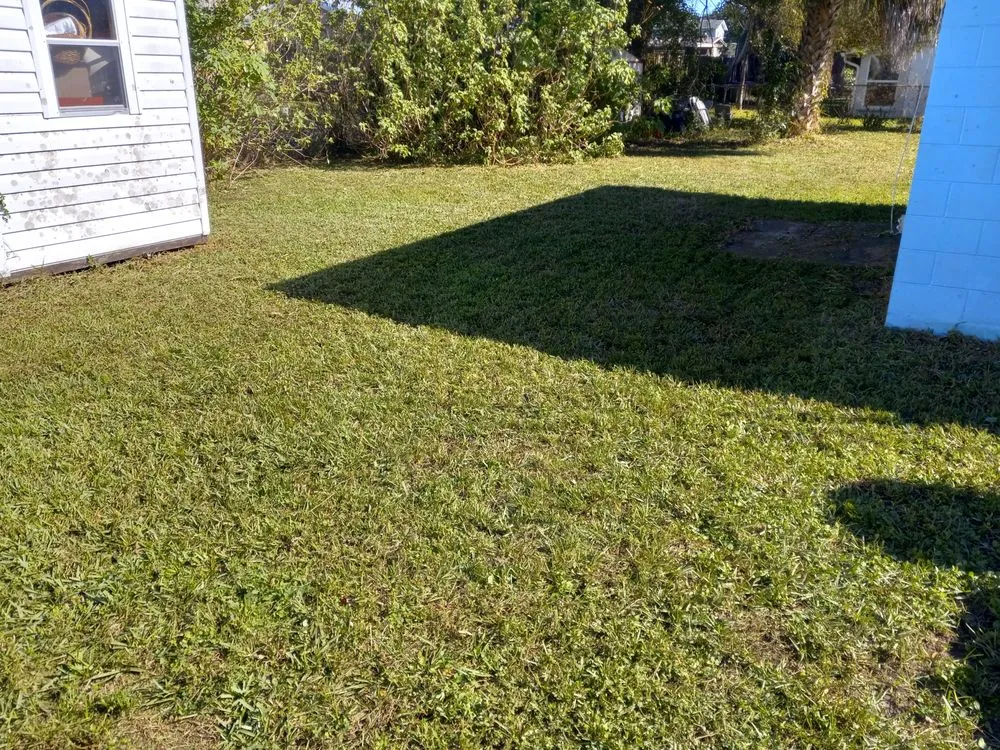 Custom yard cleanup service for outdoor upgrades in Titusville, FL by Lewis & Son Lawn Care