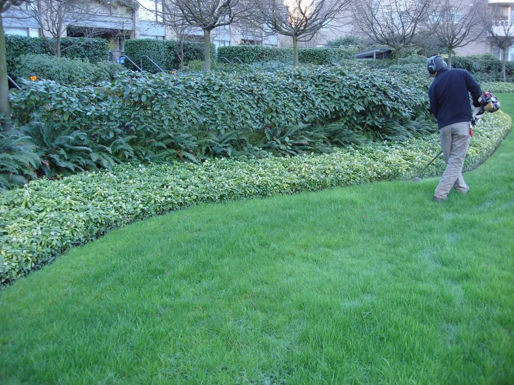 Reliable garden landscaping in Titusville, FL - Lewis & Son Lawn Care