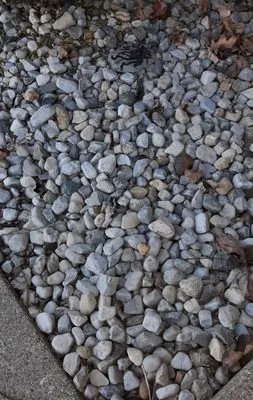 Lewis All Purpose Services