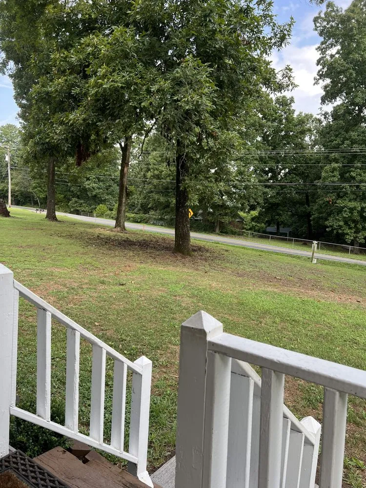 Affordable landscaping services in Birchwood, TN - Lewis And Sons