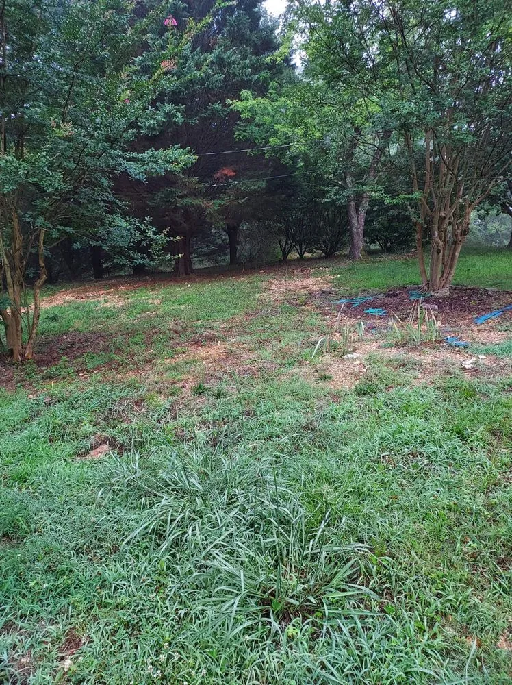 Expert garden landscaping in Birchwood, TN by Lewis And Sons