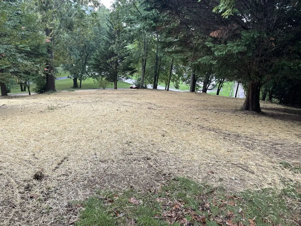 Custom residential landscaping in Birchwood, TN - Lewis And Sons