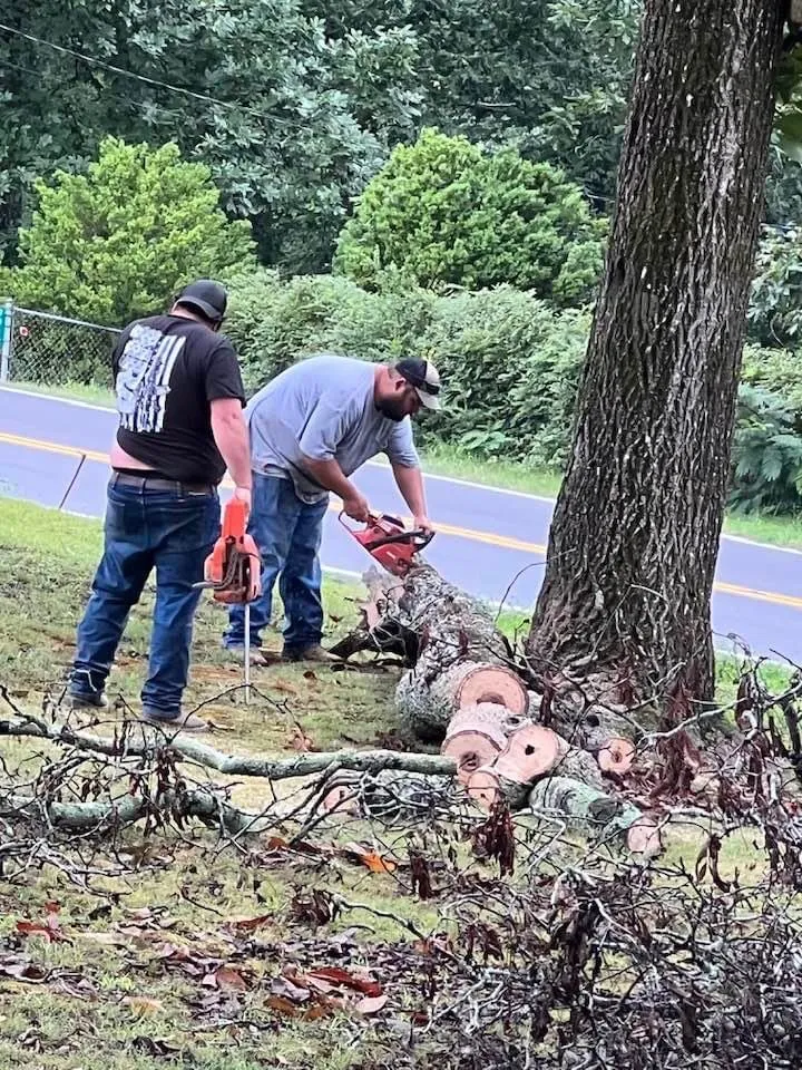 Local landscape installation experts serving Birchwood, TN - Lewis And Sons