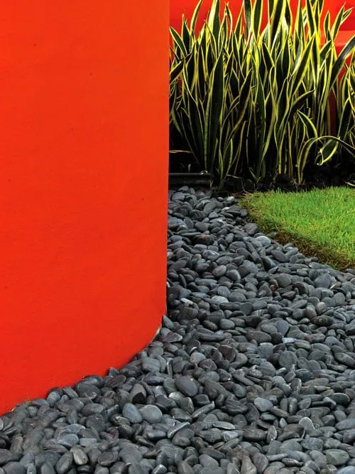 Expert yard cleanup service for year-round maintenance across Miami, FL - Lewis Aqüi Landscape + Architectural Design, LLC