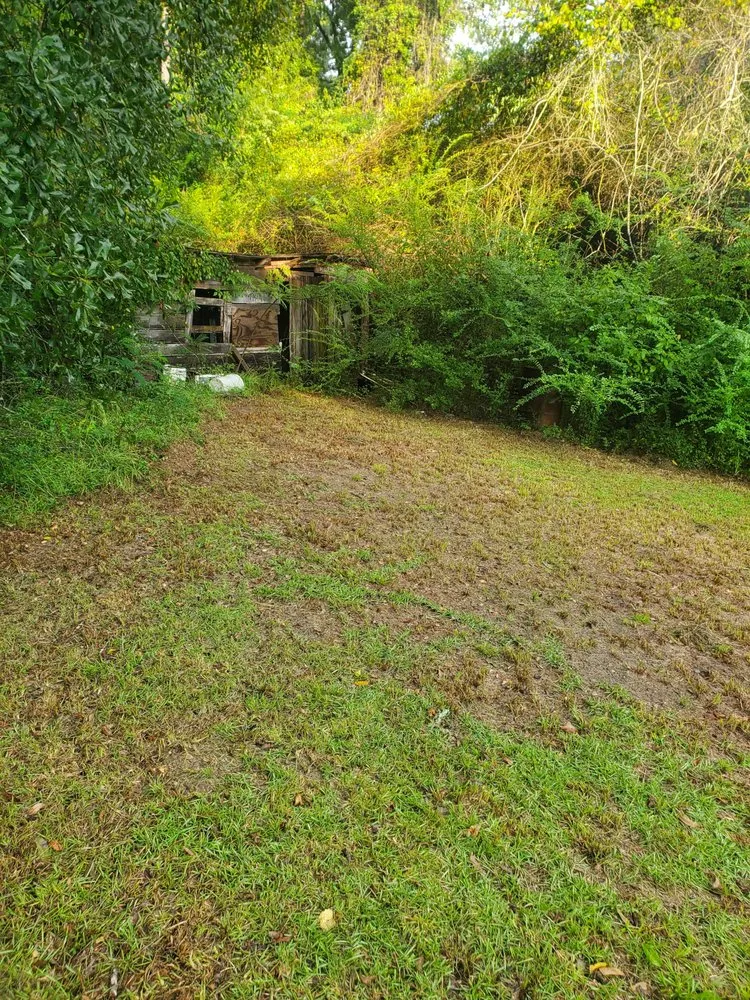 Expert landscape installation for homes in Hornbeck, LA by Lewis B Lawns