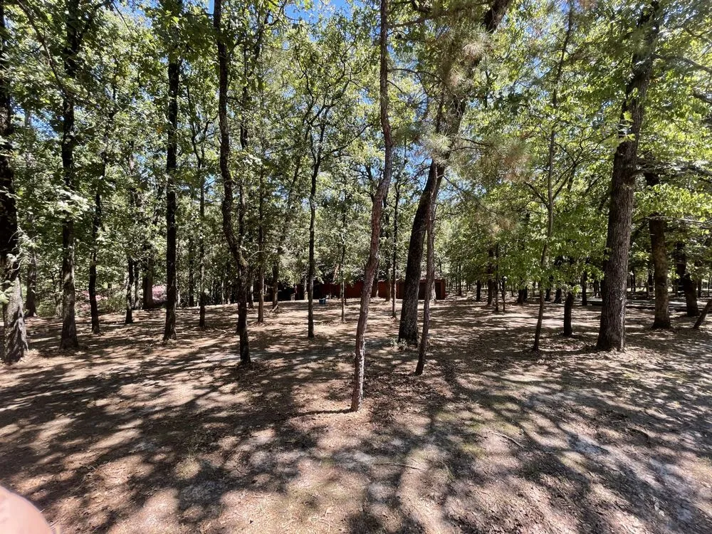 Local landscaping services for homes across Hawkins, TX - Lewis Bros