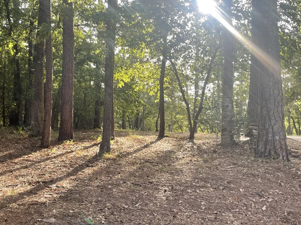 Expert landscaping services near you in Hawkins, TX by Lewis Bros