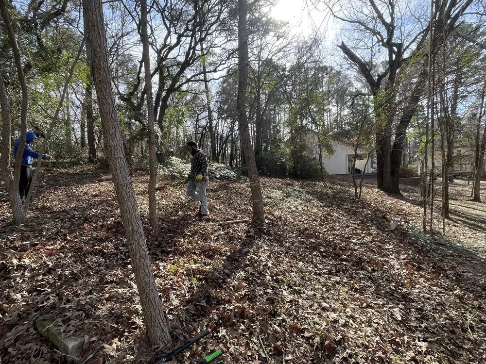 Expert outdoor landscaping in Hawkins, TX - Lewis Bros