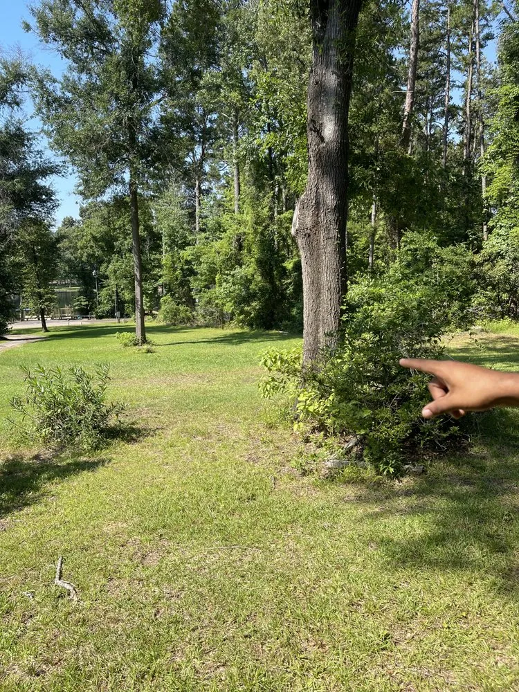 Professional landscape design in Hawkins, TX by Lewis Bros