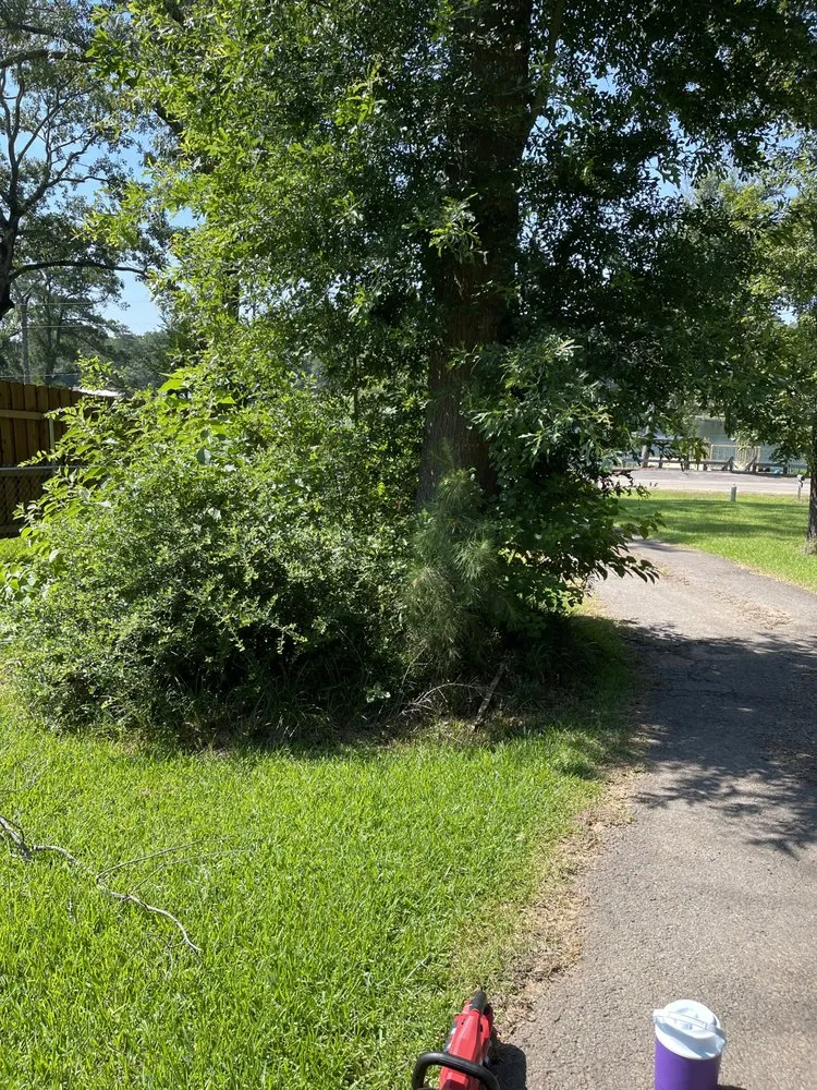 Trusted landscape installation for outdoor upgrades across Hawkins, TX - Lewis Bros