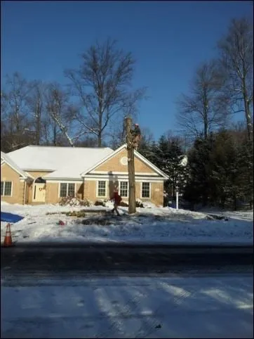 Reliable lawn care service in Felton, PA by Lewis Burns Tree Service