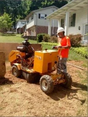 Top-rated landscape design in Felton, PA - Lewis Burns Tree Service