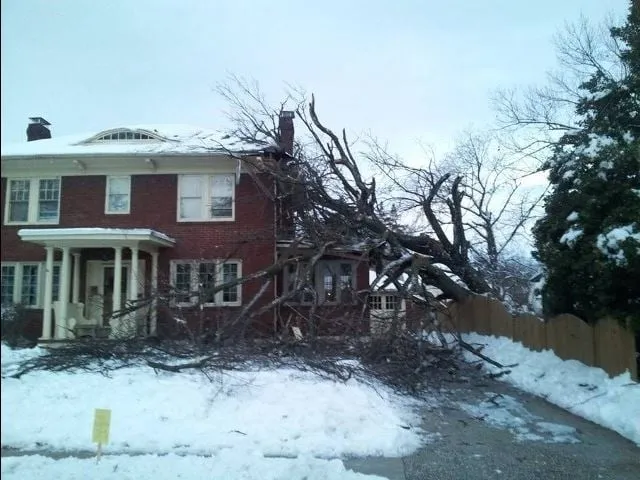 Professional residential landscaping for homes across Felton, PA - Lewis Burns Tree Service