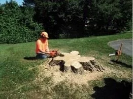 Custom landscape installation near you in Felton, PA by Lewis Burns Tree Service