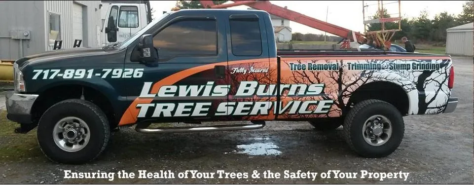 Affordable landscape installation in Felton, PA - Lewis Burns Tree Service