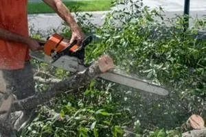 Reliable yard maintenance experts serving Felton, PA - Lewis Burns Tree Service