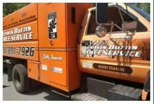 Affordable residential landscaping in Felton, PA - Lewis Burns Tree Service