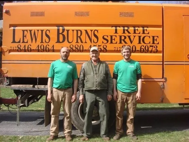 Custom residential landscaping for year-round maintenance across Felton, PA - Lewis Burns Tree Service