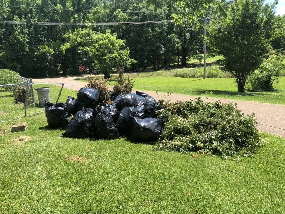 Reliable landscape installation in Jackson, MS - Lewis Cleaning and Lawn Service