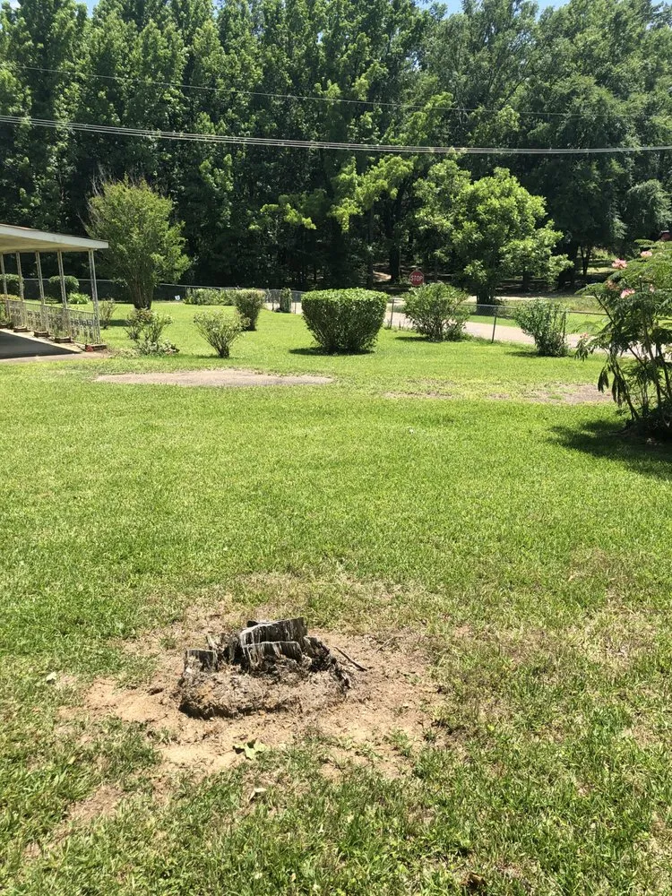 Professional garden landscaping with custom design in Jackson, MS by Lewis Cleaning and Lawn Service