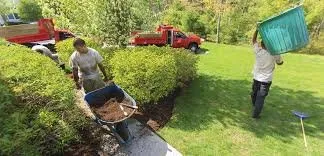 Affordable lawn mowing service in Columbus, GA by Lewis Curb Appeal Services