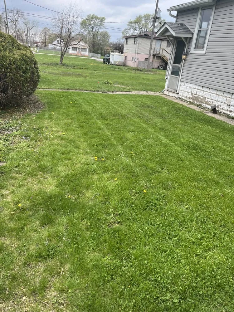 Local yard cleanup service in Phoenix, IL - Lewis Enterprises