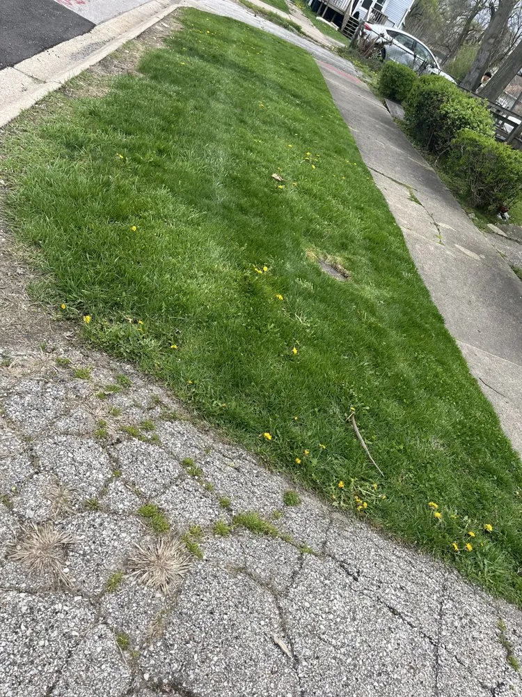 Professional outdoor landscaping in Phoenix, IL by Lewis Enterprises