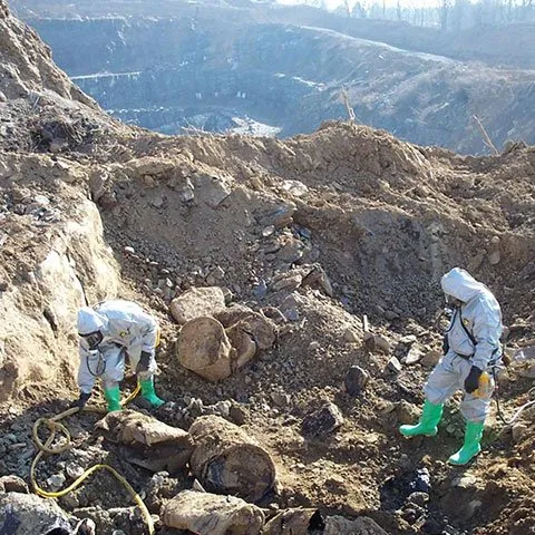 Custom lawn mowing service experts serving Royersford, PA - Lewis Environmental