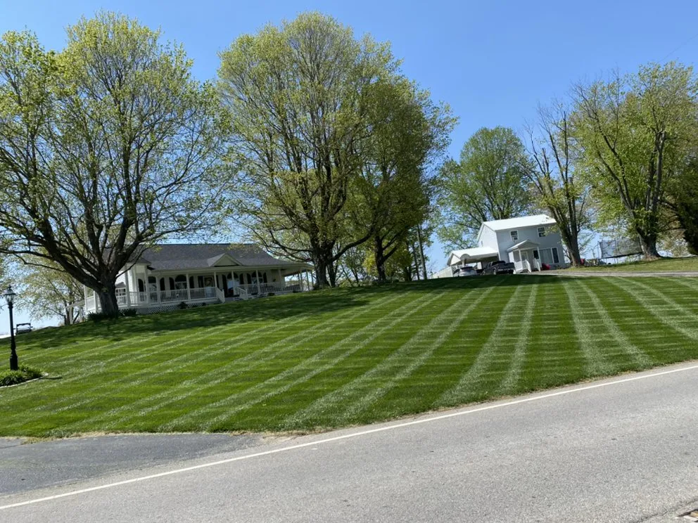 Professional landscape design in Fishers, IN by Lewis Estate Management