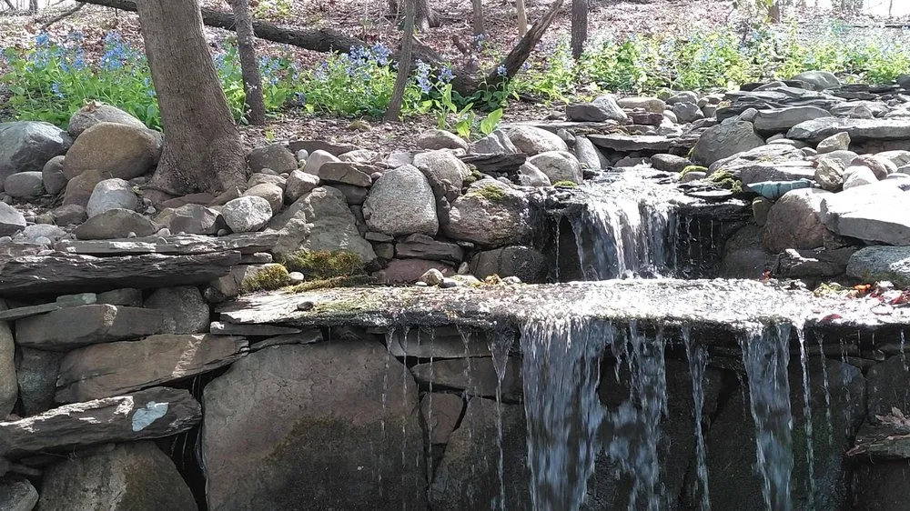 Reliable landscaping services in Norwood, NJ - Lewis Landscapes Naturally