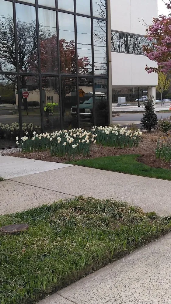 Local lawn care service in Norwood, NJ - Lewis Landscapes Naturally