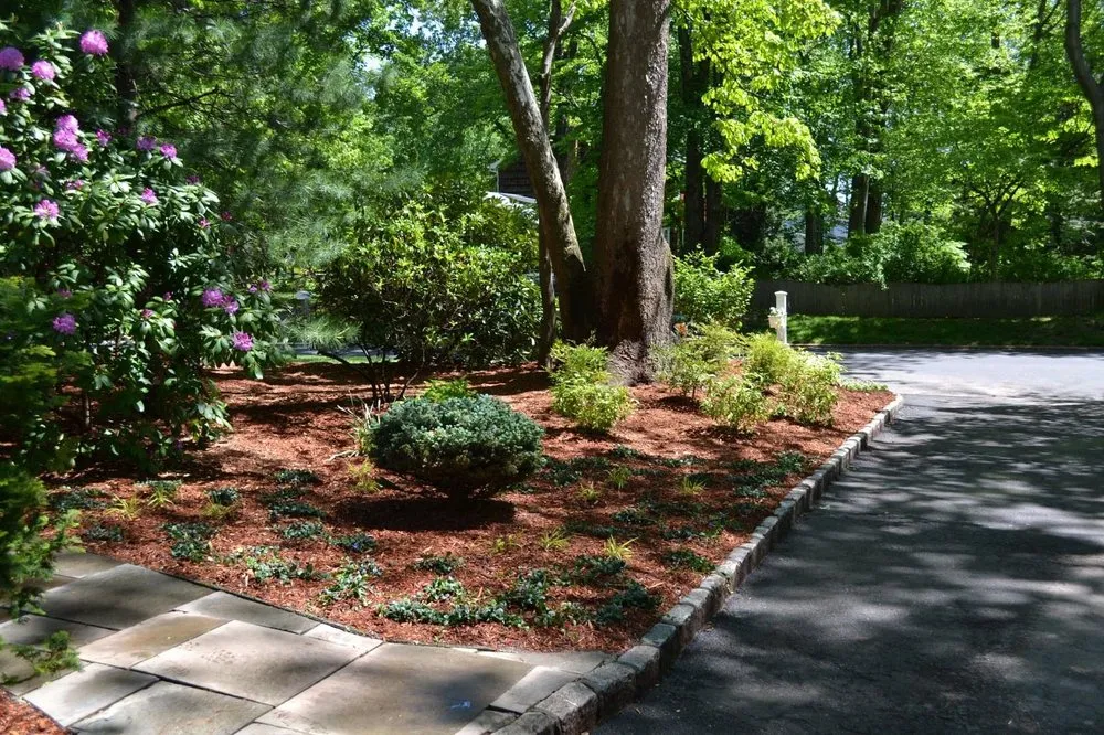 Expert outdoor landscaping for year-round maintenance across Norwood, NJ - Lewis Landscapes Naturally