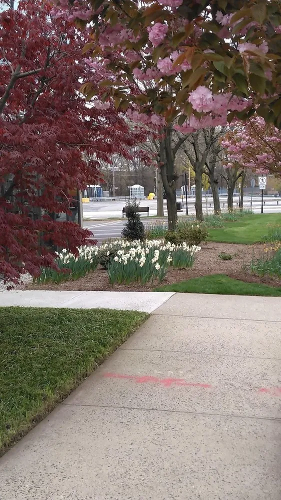 Reliable landscape design for residential properties across Norwood, NJ - Lewis Landscapes Naturally