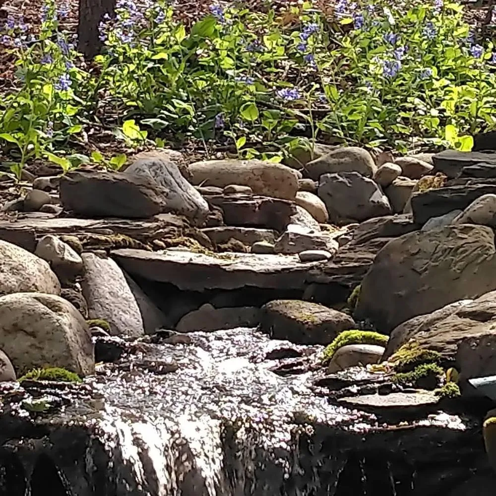 Top-rated garden landscaping experts serving Norwood, NJ - Lewis Landscapes Naturally