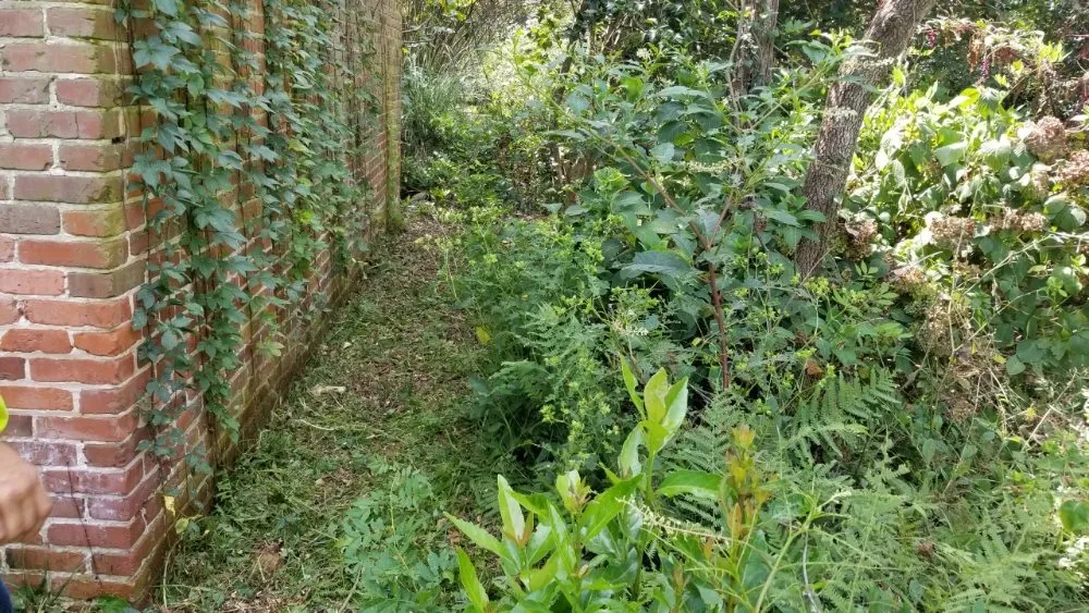 Trusted yard cleanup service in Ridge Spring, SC - Lewis landscaping and tree care