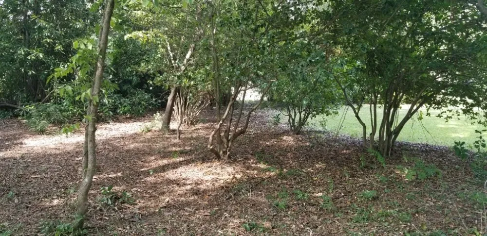 Affordable yard cleanup service with custom design across Ridge Spring, SC - Lewis landscaping and tree care