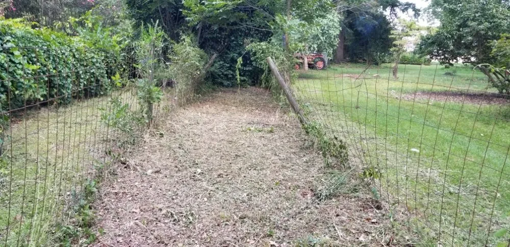 Reliable lawn care service with custom design in Ridge Spring, SC by Lewis landscaping and tree care