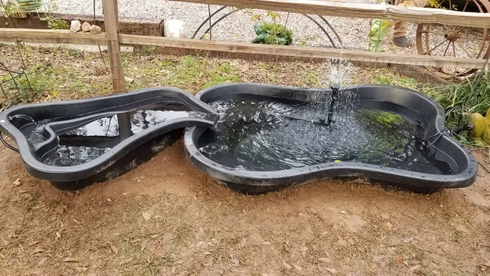 Reliable yard cleanup service for year-round maintenance across Ridge Spring, SC - Lewis landscaping and tree care