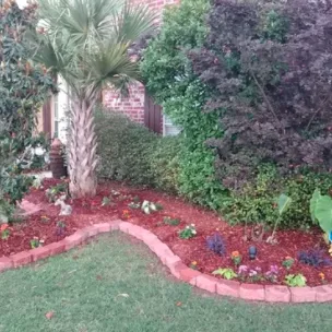 Custom yard cleanup service in Baton Rouge, LA by Lewis Landscaping