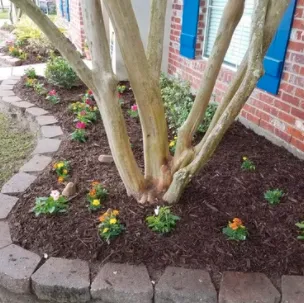 Top-rated landscape installation experts serving Baton Rouge, LA - Lewis Landscaping