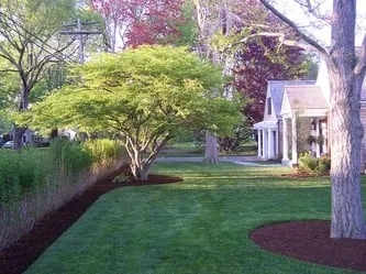 Trusted lawn care service in Mashpee, MA by Lewis Landscaping