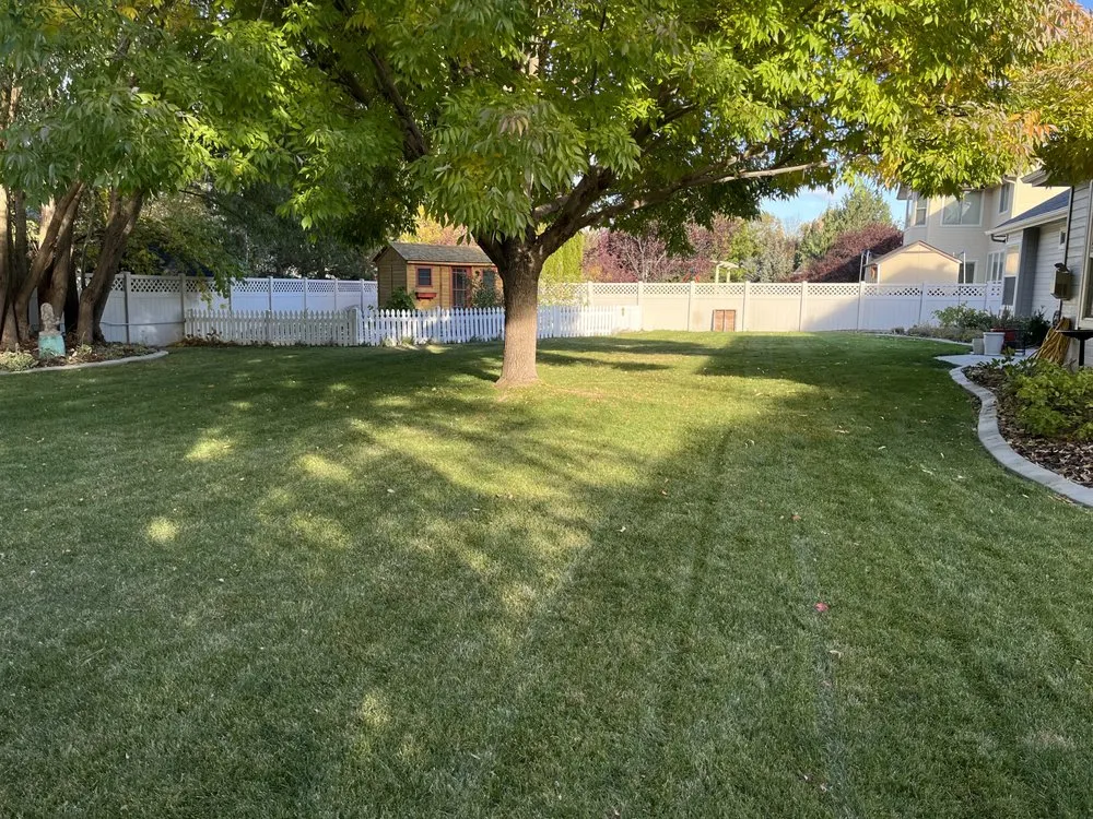 Reliable outdoor landscaping for beautiful yards in San Marcos, TX by Lewis Landscaping