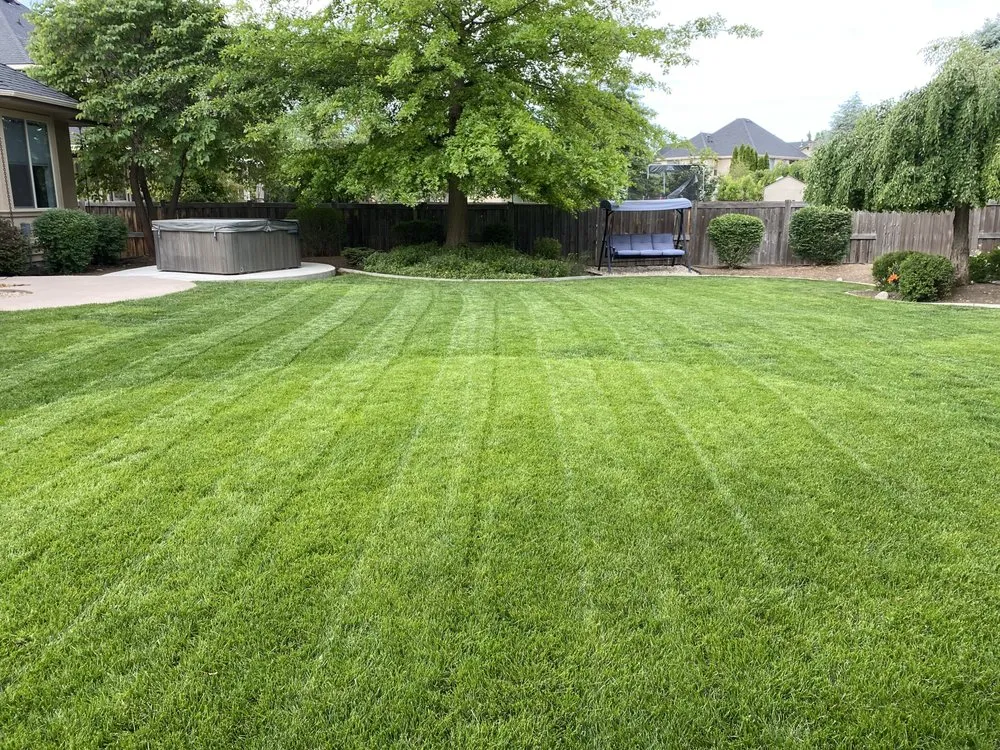 Top-rated yard maintenance in San Marcos, TX - Lewis Landscaping