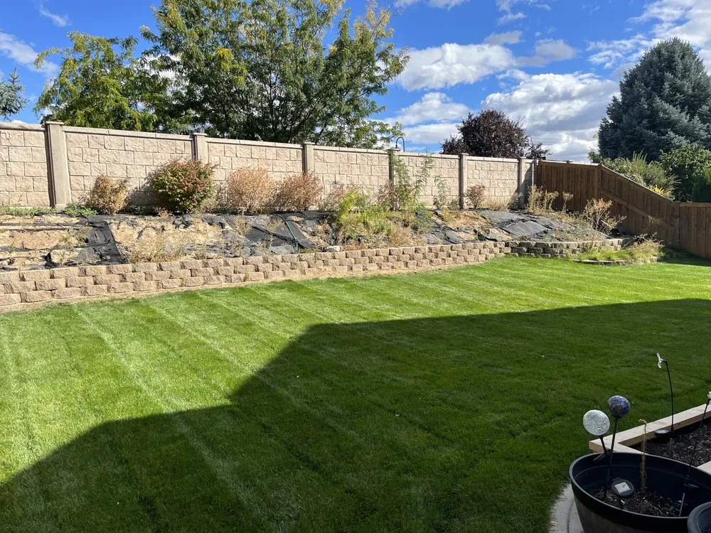 Affordable lawn care service in San Marcos, TX by Lewis Landscaping