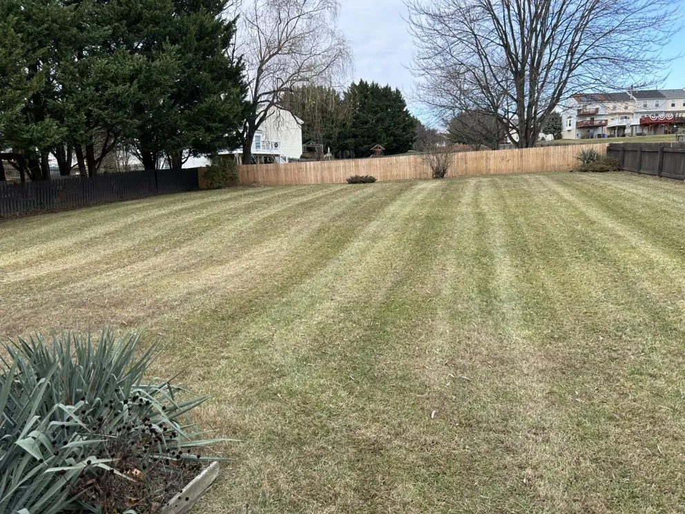 Expert lawn mowing service experts serving Street, MD - Lewis Landscaping