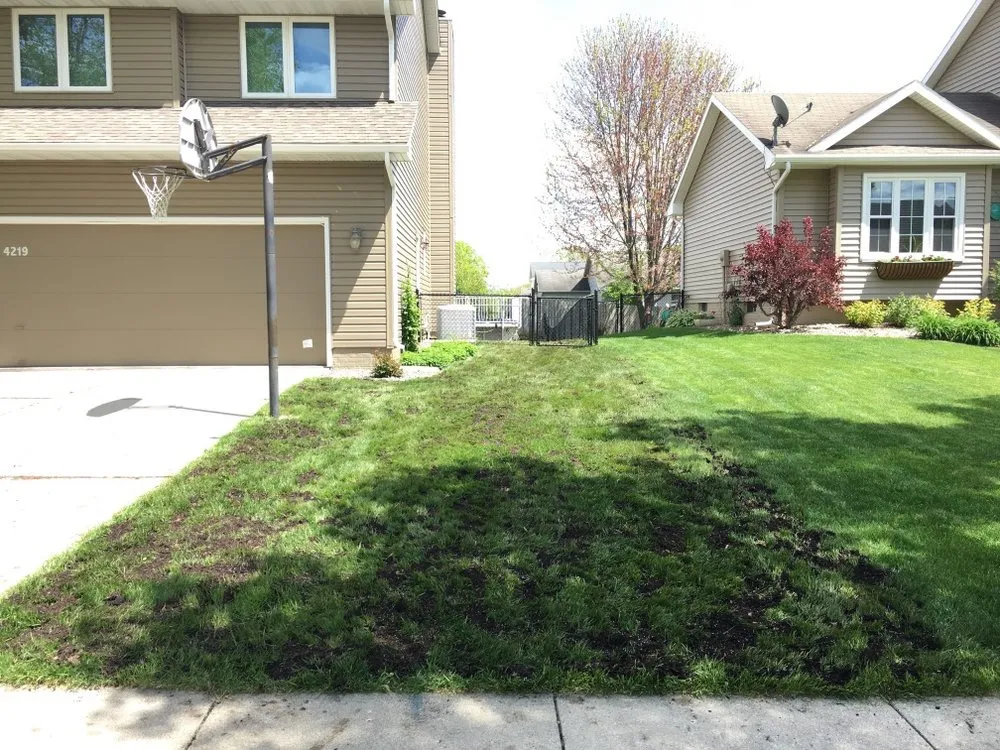 Professional lawn care service for beautiful yards across Des Moines, IA - Lewis Lawn & Labor