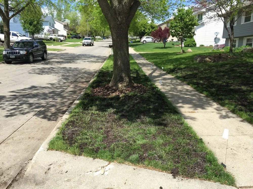 Trusted yard cleanup service in Des Moines, IA by Lewis Lawn & Labor