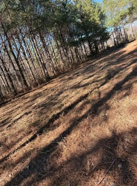 Expert lawn care service in Augusta, GA by Lewis Lawn Care & More