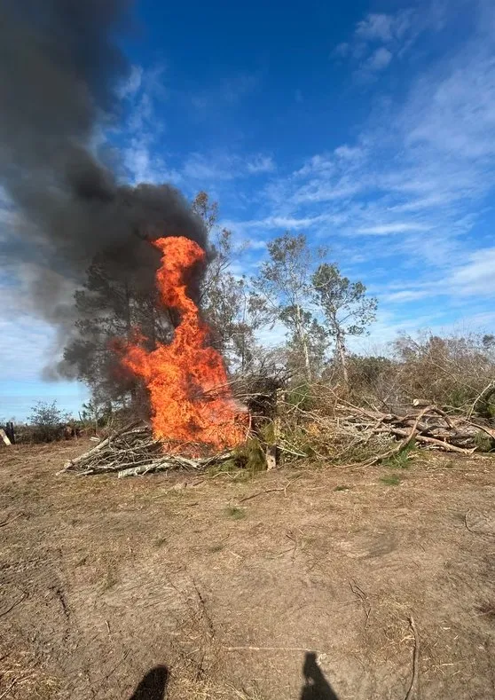 Affordable landscape design in Augusta, GA - Lewis Lawn Care & More